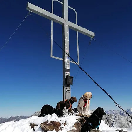 Alpin Mandarfen